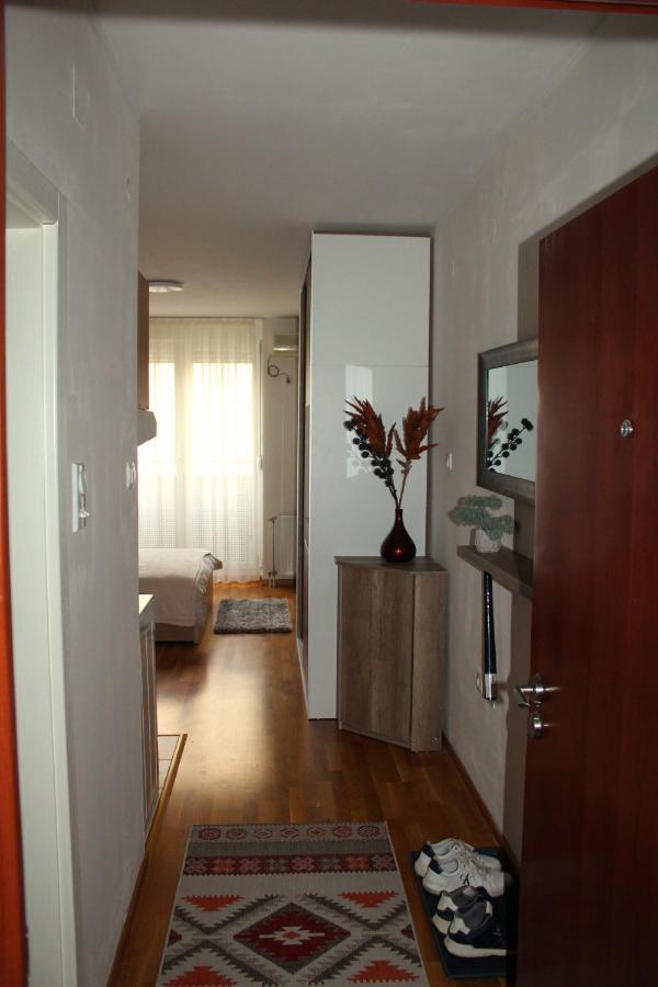 Downtown Apartment Novi Sad Bagian luar foto