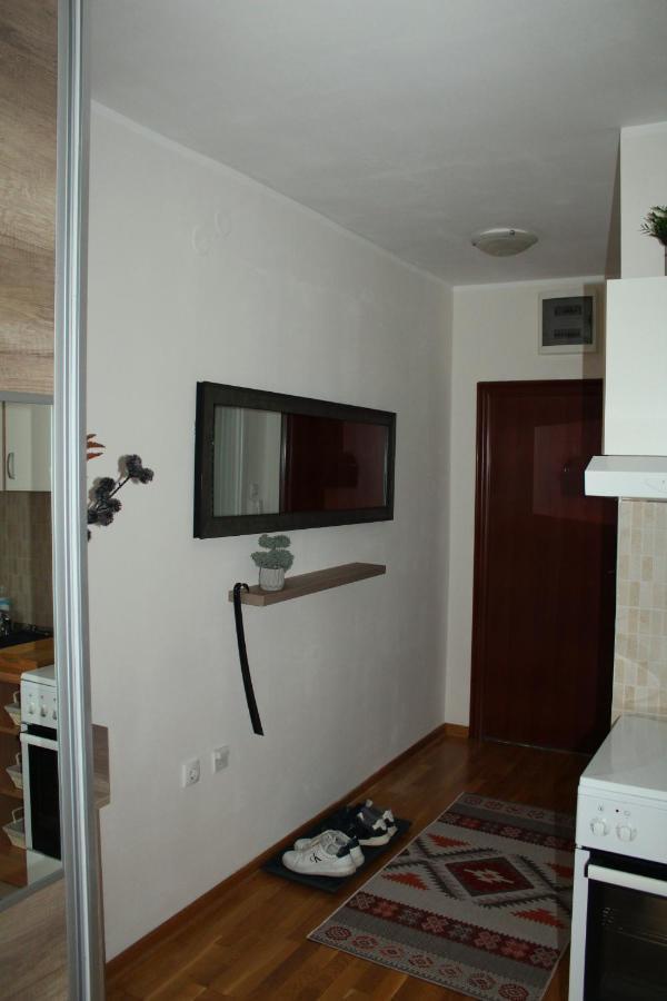 Downtown Apartment Novi Sad Bagian luar foto