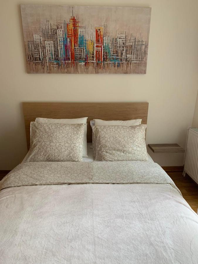 Downtown Apartment Novi Sad Bagian luar foto